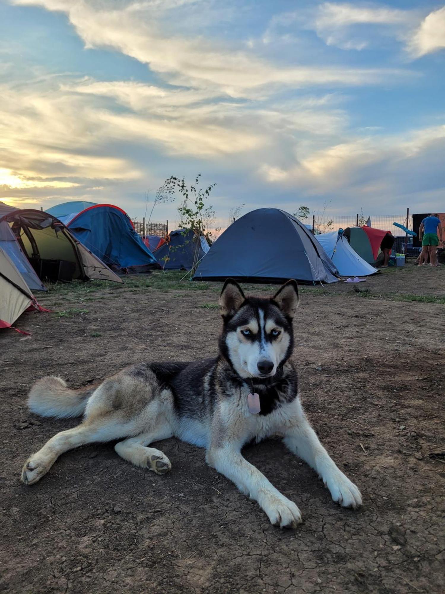 Makeeda Camping Vama Veche Exterior photo