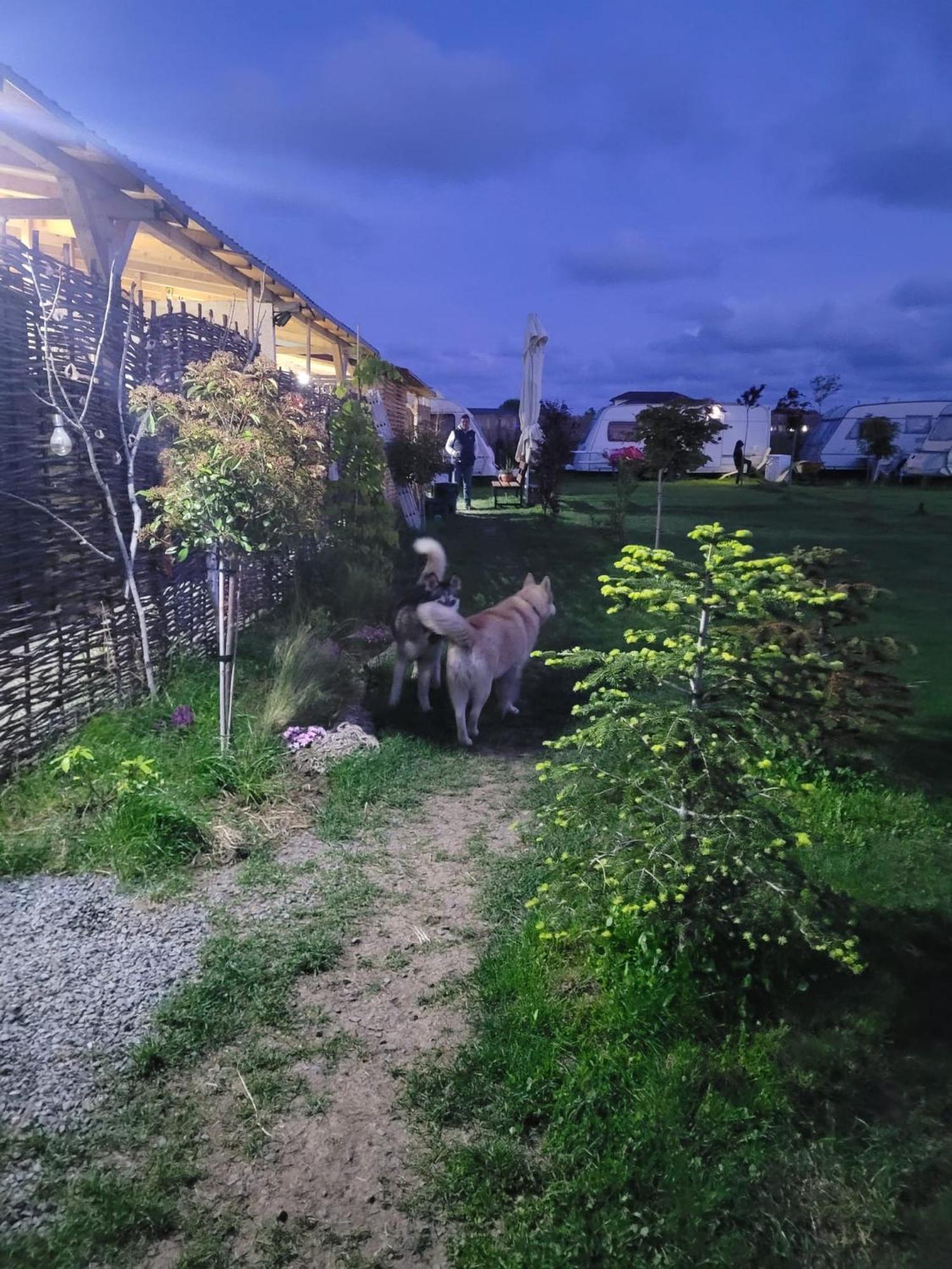 Makeeda Camping Vama Veche Exterior photo