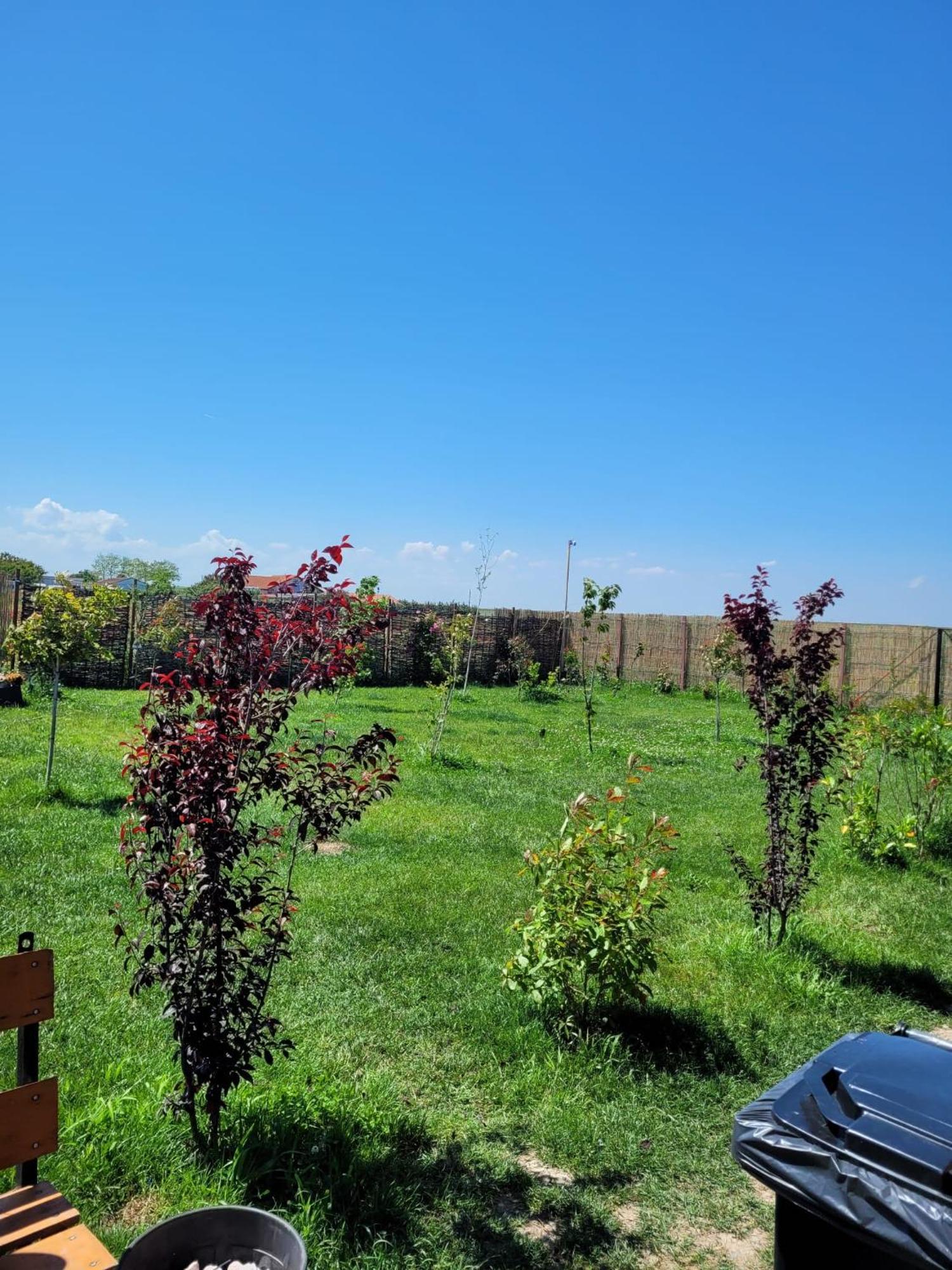 Makeeda Camping Vama Veche Exterior photo