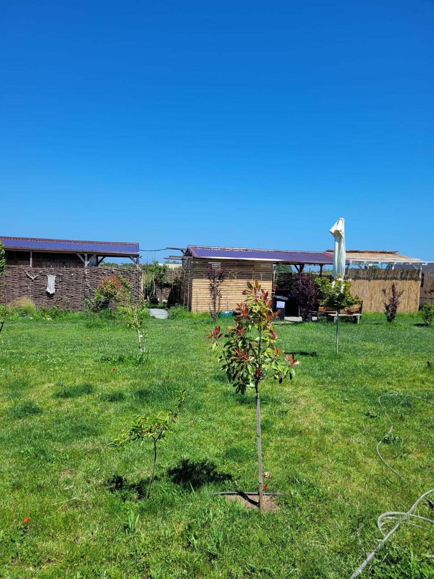 Makeeda Camping Vama Veche Exterior photo